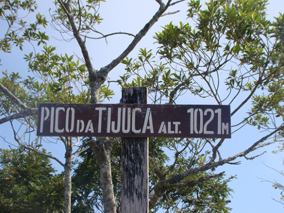 Pico da Tijuca